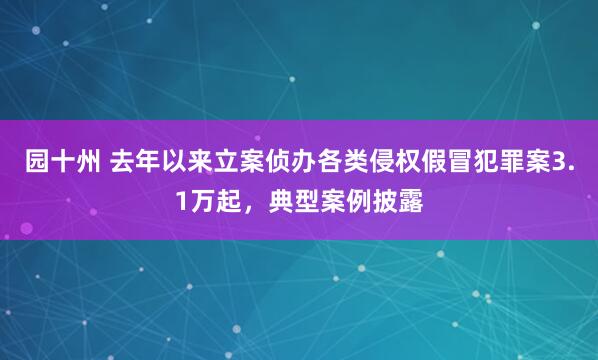 园十州 去年以来立案侦办各类侵权假冒犯罪案3.1万起，典型案例披露