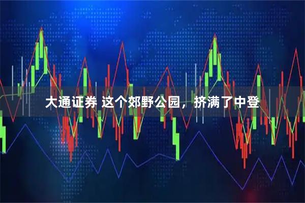 大通证券 这个郊野公园，挤满了中登